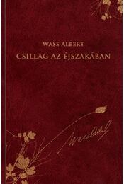 Csillag az éjszakában (könyvborító)