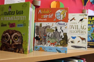 Kihelyezett könyvek a világnapok alkalmából