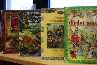Kihelyezett könyvek a világnapok alkalmából
