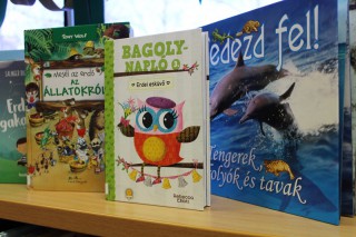 Kihelyezett könyvek a világnapok alkalmából