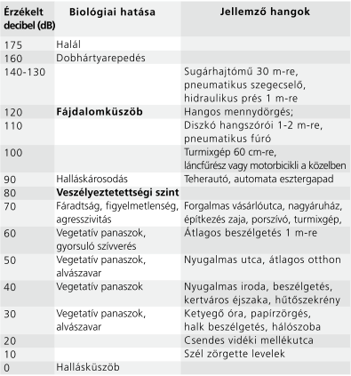 A zajszint hatása az emberi szervezetre
