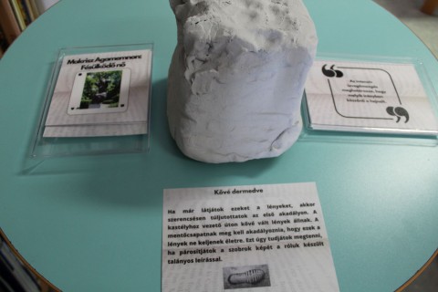 Az egyik feladat a gyermekkönyvtárban