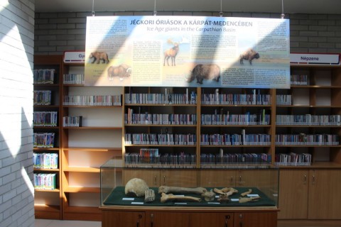 A kiállításon bemutatott mamutcsont.