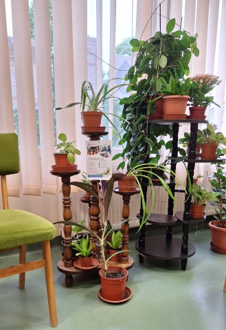 Növények a Tiszaszederkényi Fiókkönyvtárban