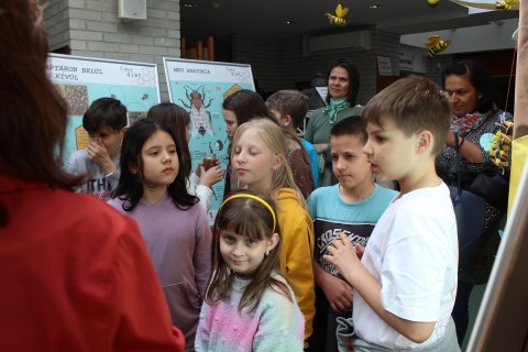 Tárlatvezetés a gyerekeknek