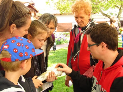 Bodnár Dániel szarufaragónak köszönhetően a szarvasmarha tülkök faragásával ismerkedhettek meg a vendégek.