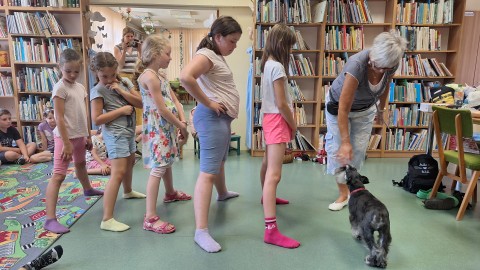 Saci, a terápiás kutya tartott bemutatót