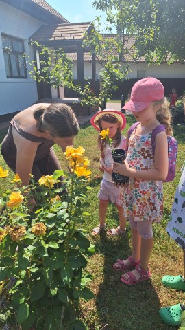 A vázába virág is kell