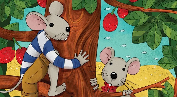 A diafilm borítója