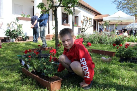 Közös virágültetés a tájház udvarán