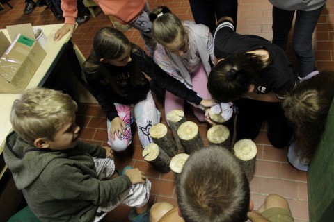 A napközisek lyukakat fúrnak a farönkökbe.