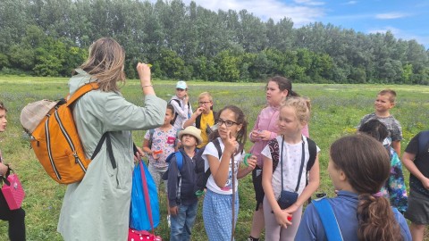 Növénymeghatározás az ártéren.