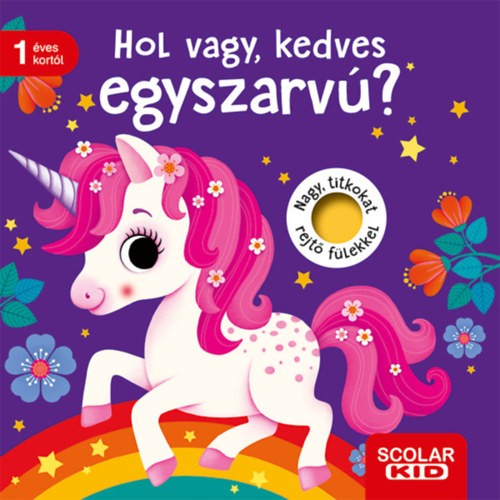 A könyv borítója