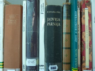 A kihíváshoz kihelyezett könyvek a könyvtárban