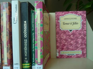 A kihíváshoz kihelyezett könyvek a könyvtárban