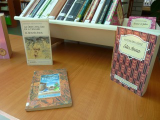 A kihíváshoz kihelyezett könyvek a könyvtárban