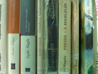 A kihíváshoz kihelyezett könyvek a könyvtárban