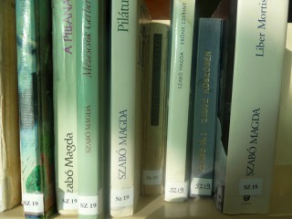 A kihíváshoz kihelyezett könyvek a könyvtárban