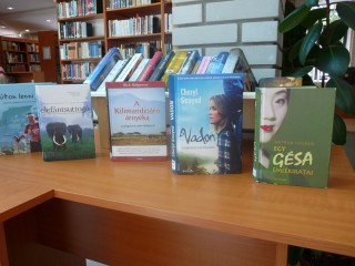 A kihíváshoz kihelyezett könyvek a könyvtárban