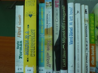 A kihíváshoz kihelyezett könyvek a könyvtárban