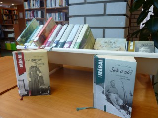 A kihíváshoz kihelyezett könyvek a könyvtárban