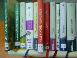 A kihíváshoz kihelyezett könyvek a könyvtárban