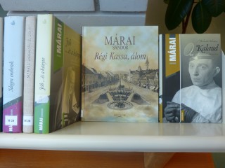 A kihíváshoz kihelyezett könyvek a könyvtárban