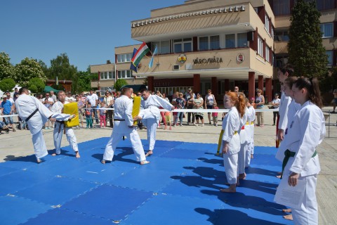 Harcművészeti bemutató