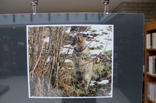 a kiállítás képei