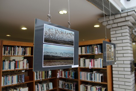 a kiállítás képei