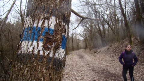 Képek a kéktúra szakaszairól