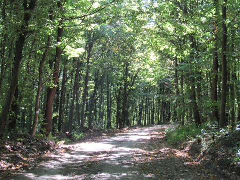 Képek a kéktúra szakaszairól