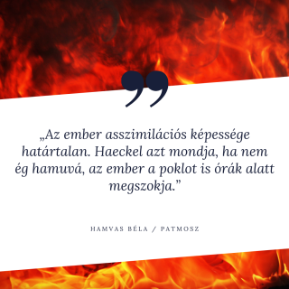 Hamvas Béla idézet