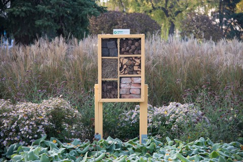 Rovarhotel Budapesten a Nehru parkban. Fotó: FŐKERT