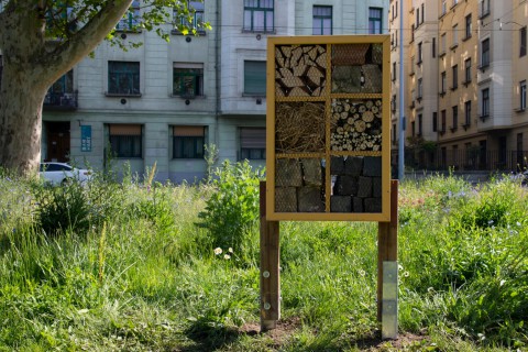 Rovarhotel Budapesten a Nehru parkban. Fotó: FŐKERT